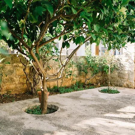 Malietzis House Tatil Evi Pano Arodes